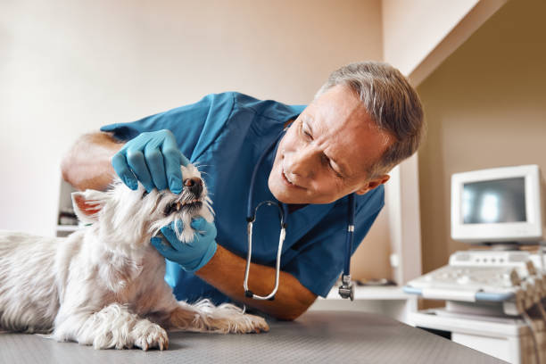 Best Emergency Tooth Extraction in Lake Jackson, TX